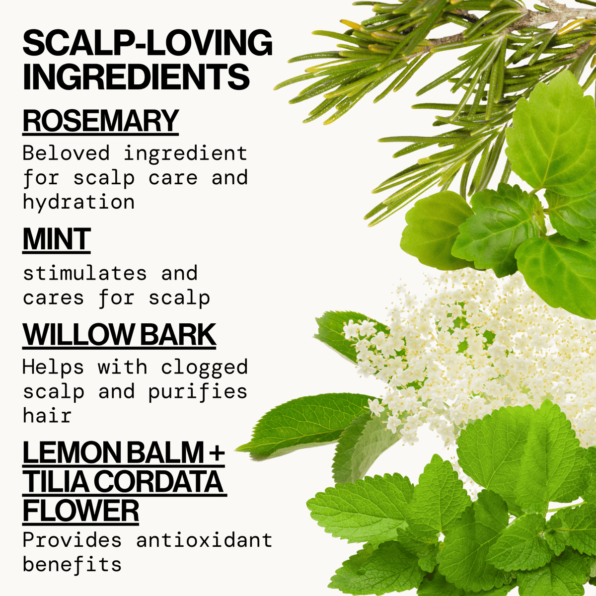 Rosemary Mint Scalp Love Conditioner